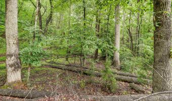 7160 BURNT MOUNTAIN Rd, Afton, VA 22920