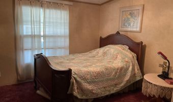392 CR 1590, Alba, TX 75410