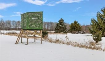 3373 Glover Rd, Almont, MI 48003