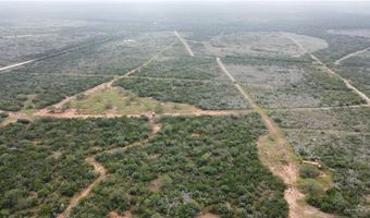 Tbd County Road 173, San Diego, TX 78332