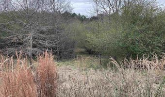 34655 Co Rd 49, Beaverton, AL 35544