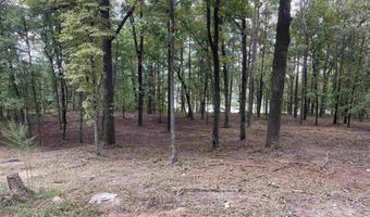 1 CENTURAS Cir 2, Alpine, AL 35014