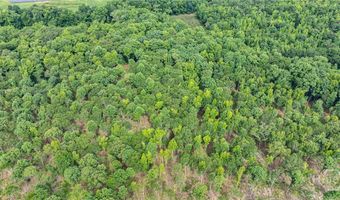 Wilson Lane, Arnoldsville, GA 30619
