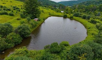 5249 State Route 21, Alfred, NY 14803