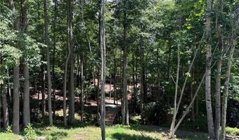 Beaver Dam Road lot 99, Banner Elk, NC 28604