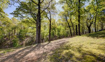 E 317th Road lot 2R, Afton, OK 74331