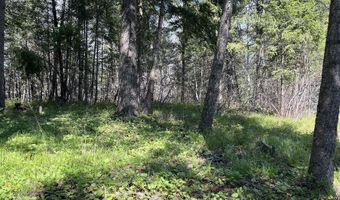 716 Echo Lake Rd, Bigfork, MT 59911