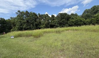 80 ACRE Monnie St, Ashburn, GA 31714