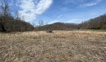 Little Coal River Road, Alum Creek, WV 25501