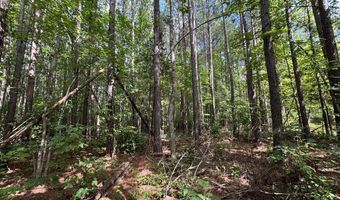 Holiday Lake Road, Appomattox, VA 24522