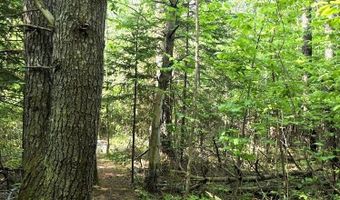 Martin Road, Alpena, MI 49707
