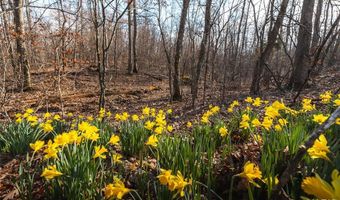760 County Road 203, Annapolis, MO 63620