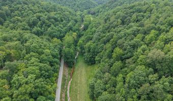 50 Hg Williams Dr, Bays, KY 41310