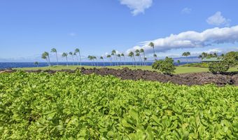 68-1050 MAUNA LANI POINT Dr B102, Kamuela, HI 96743