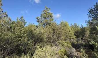 Grizzly Lane 14, Bonanza, OR 97623