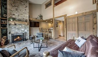 600 S Park Ave 218, Breckenridge, CO 80424
