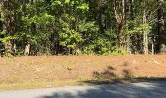 Main St and Hwy 1, Alberta, VA 23821