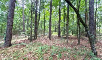 Dixon LN SE, Bogue Chitto, MS 39629