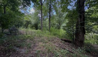 TBD Paint Fork Rd, Barnardsville, NC 28709