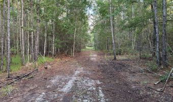 Lower Bay Road, Bay St. Louis, MS 39520