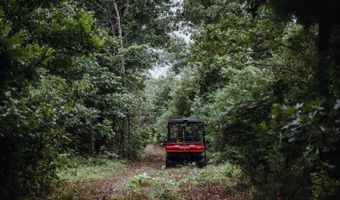 1569 Spider K Rd, Anderson, MO 64831