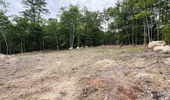 Rines Road 49, Alton, NH 03809