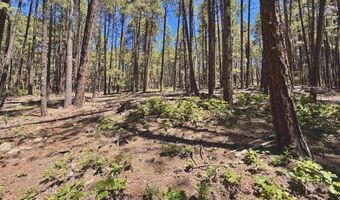249 Timber Dr, Bayfield, CO 81122