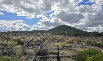 Partin Drive 19, Beatty, OR 97621