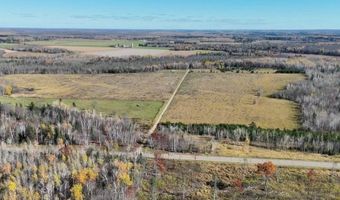 ON SURING LN unit 24+ Acres 24+ Acres, Argonne, WI 54511