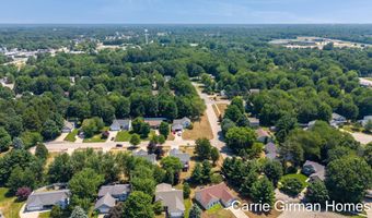 11011 Skyway Ln, Allendale, MI 49401