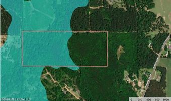 SW Auburn Drive, Bogue Chitto, MS 39629
