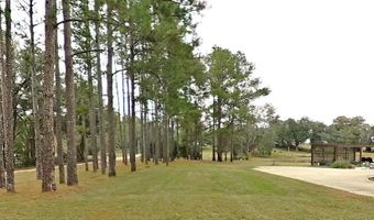 290 Long Rd, Bainbridge, GA 39817