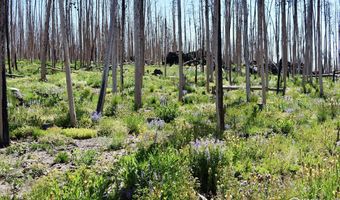 2025 Granite Rd, Bellvue, CO 80512
