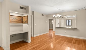 4101 FAIRVIEW VISTA Pt 229, Orlando, FL 32804