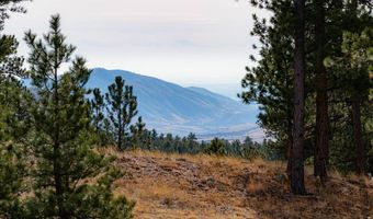 440 La Hermosa Dr, Bellvue, CO 80512