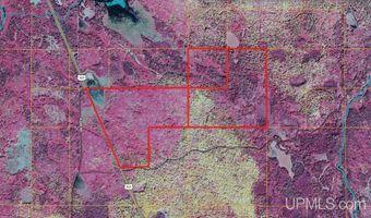 US 141 Road lot Lukes Road, Amasa, MI 49903