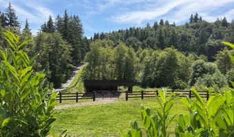 19512 NE FARGHER LAKE Hwy, Amboy, WA 98601