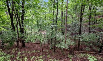 VALLEY VIEW ROAD, Basye, VA 22810