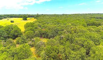 Tbd Dude Lane, Millsap, TX 76066