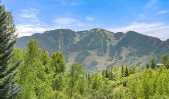 927 Red Mountain Rd, Aspen, CO 81611
