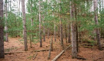 Lot 87 20th Avenue, Arkdale, WI 54613