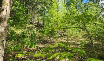 Map R1 21 Alna Road, Alna, ME 04535
