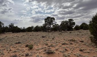Tbd N5505, Concho, AZ 85924