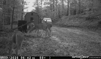 ADVENT Drive, Augusta, WV 26704