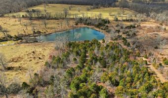 2479 County Road 304, Alton, MO 65606