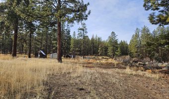 6538 Flamingo Dr, Bonanza, OR 97623