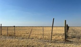 Olive Street, Alpaugh, CA 93201