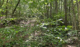 Hamilton Ridge Road, Alderson, WV 24910