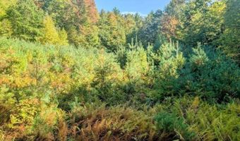 237 Halls Pond Rd, Charlestown, NH 03603