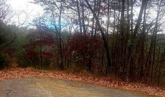 SPITZ Lane, Basye, VA 22810